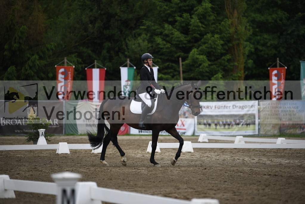 DSC_7878 | equestrian-live-com