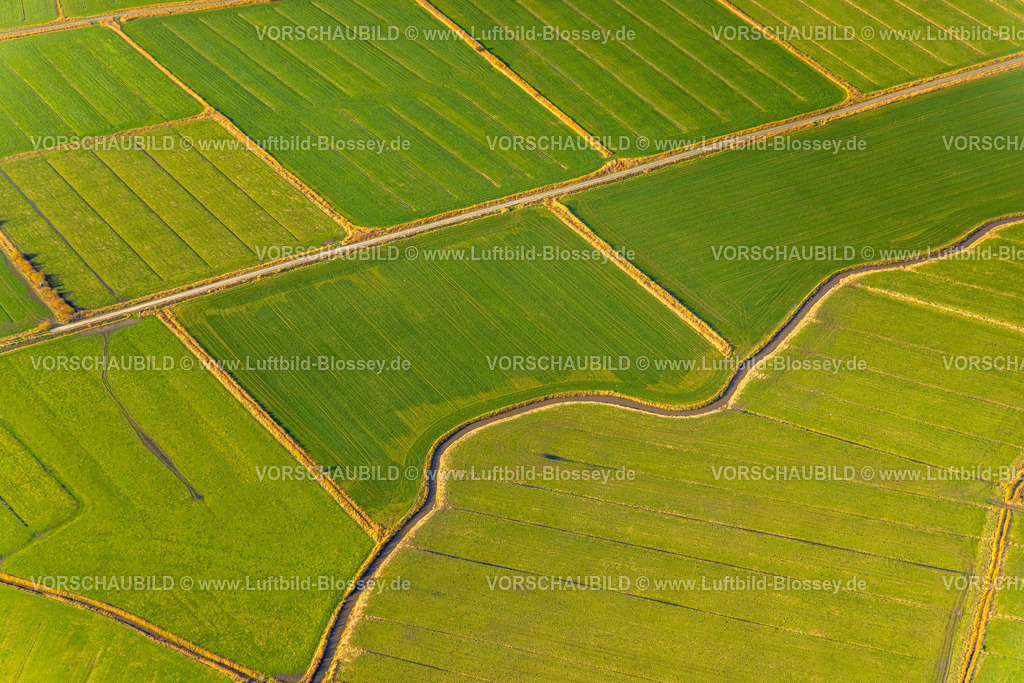 Emden251104775 | Luftbild, Wiesen und Felder beim Dorf Freepsum, Wasserlauf Freepsumer Tief, Twixlum, Emden, Norddeutschland, Ostfriesland, Niedersachsen, Deutschland