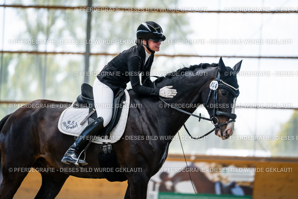 DSC06006 | Pferdegrafie