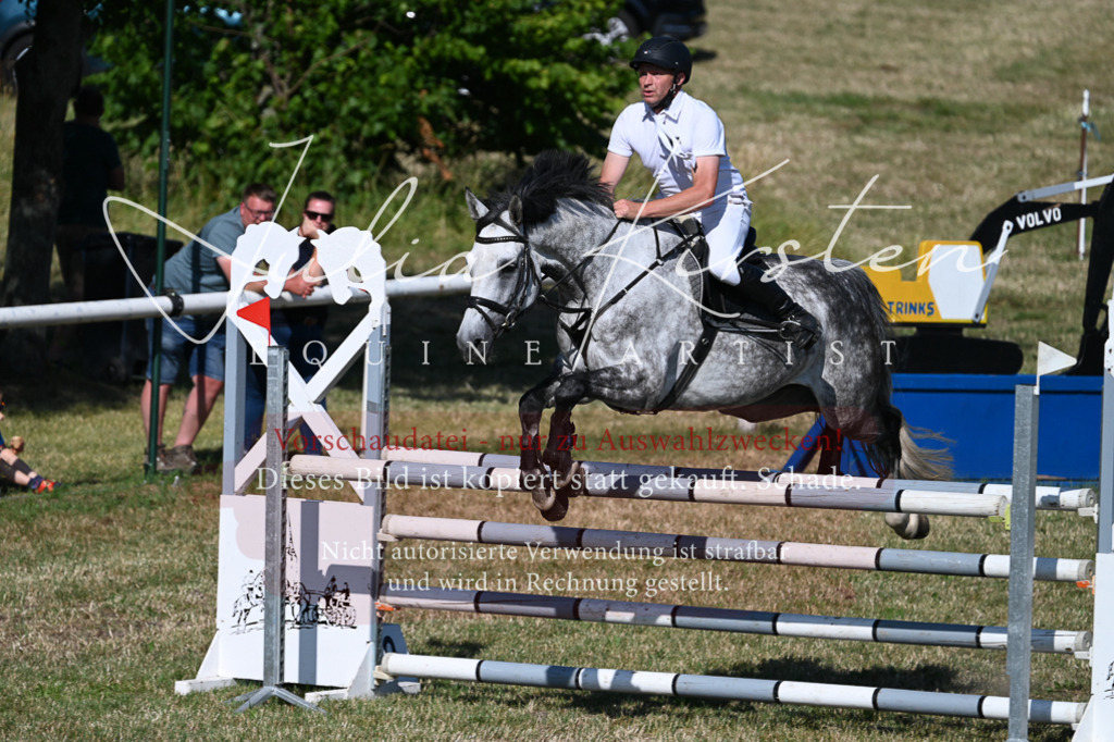 DSC_2247 | Pferde- und Turnierfotografie in Westsachsen. Pferdeportraits, Auftragszeichnungen und intuitive Kunst.