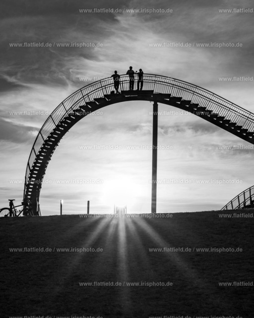 Welle im Gegenlicht | Tiger & Turtle, Duisburg