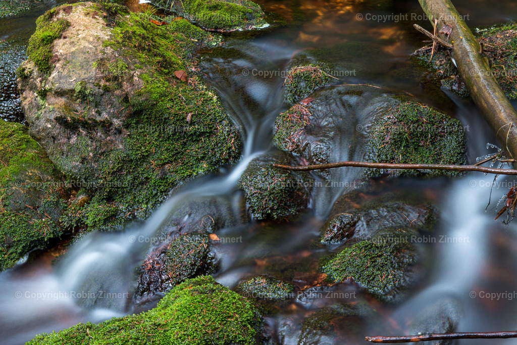 Naturpfad-14 | Robin Zinnert - Realisiert mit Pictrs.com