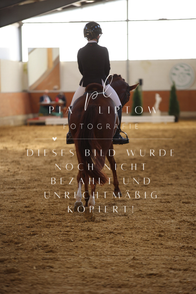 IMGT9942 | pl-fotografie