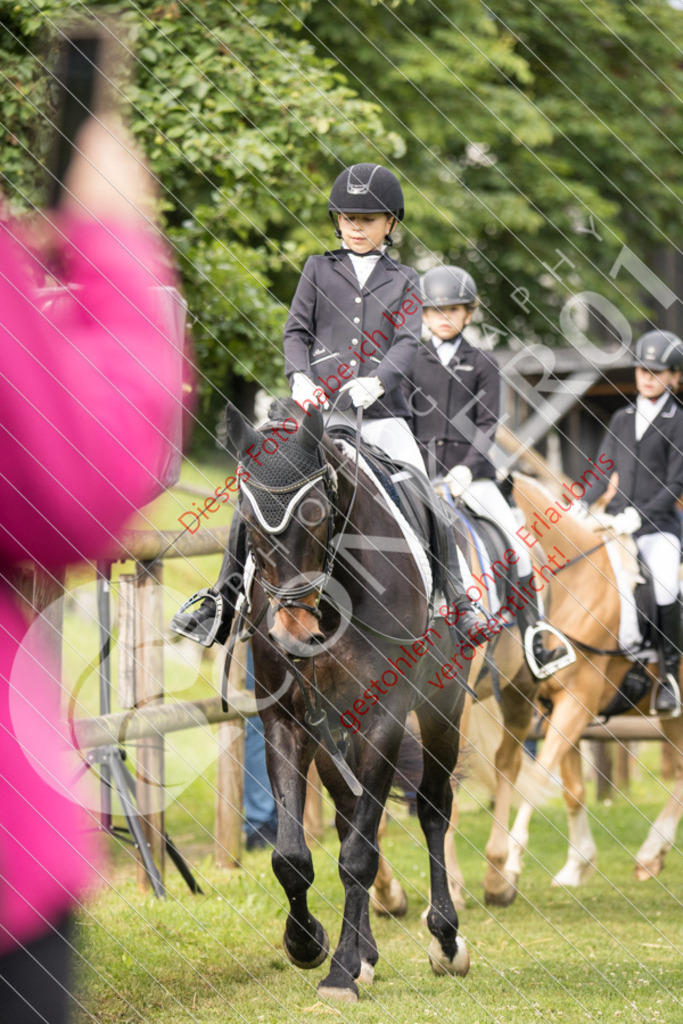 IMG_1576 | Sport-, Event- und Tierfotos in Profiqualität. Einfach auswählen, bestellen und herunterladen. Dein Moment – perfekt festgehalten.