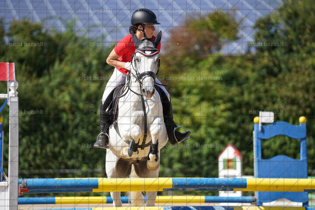 20240824-FAH08392 | Thierhaupten 2024, Bayerisches Landesponyturnier, Turnierbilder, Ponybilder, Turnierfotografen Bayern, Fotoagentur Herrmann