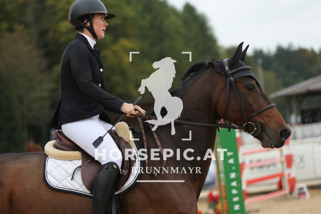 0P6A4127 | Willkommen bei Brunnmayr - Design & Fotografie – Ihrem Spezialisten für Reitturniere und Pferdeveranstaltungen in Oberösterreich, Salzburg und Bayern! Seit über 17 Jahren sind wir leidenschaftlich dabei.