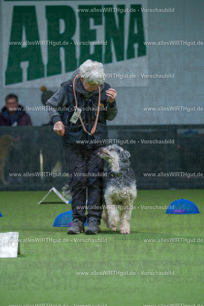 7R501254 | Professionelle Tierfotografie in Mönchengladbach von Daniel Wirth (allesWIRTHgut). Liebevolle & natürliche Bilder von Hunden & Katzen für unvergessliche Erinnerungen.