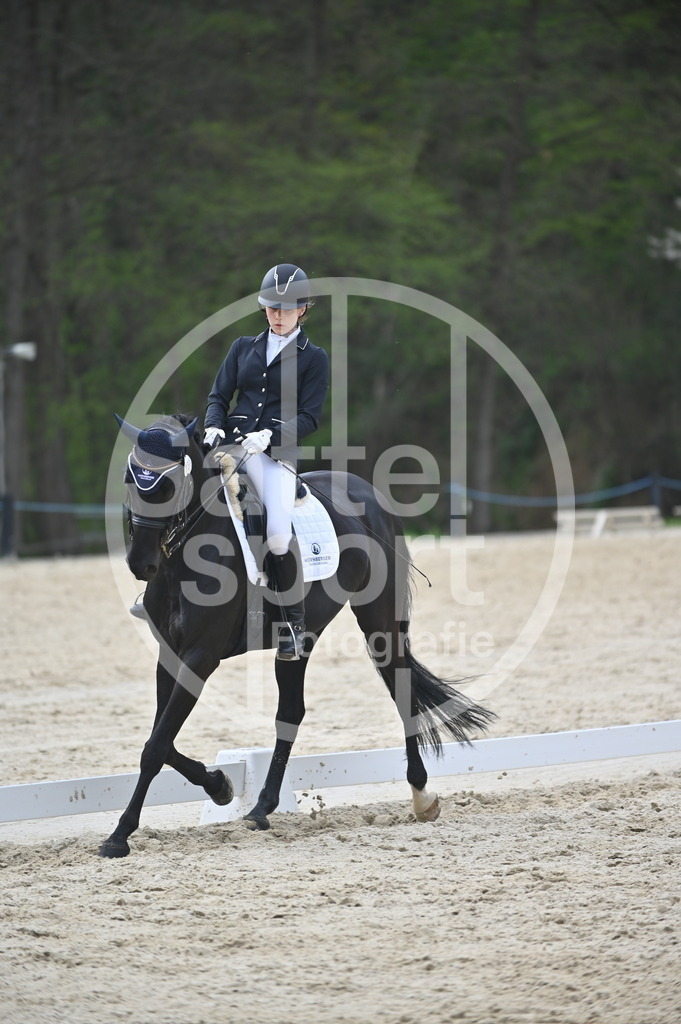 DSC_5230 | sattelsport - Realisiert mit Pictrs.com