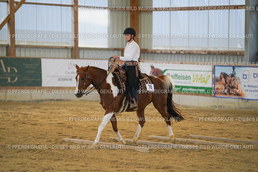 DSC09042 | Pferdegrafie