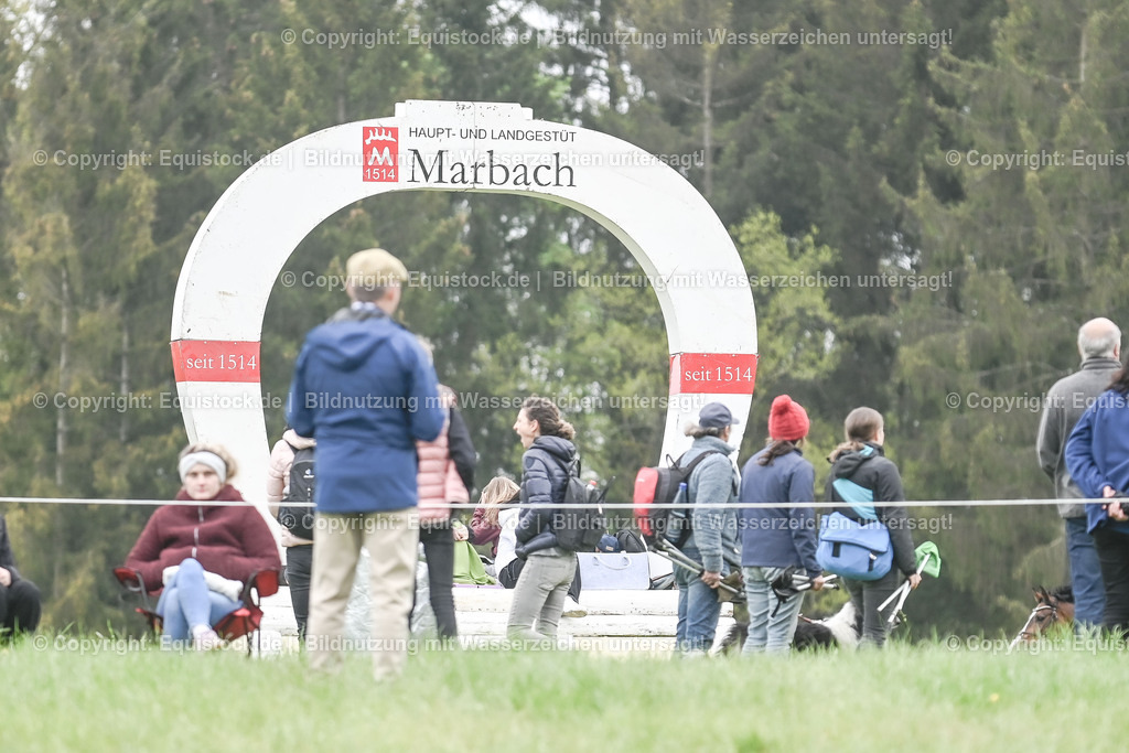 20230513_Impression_0049 | equistock
