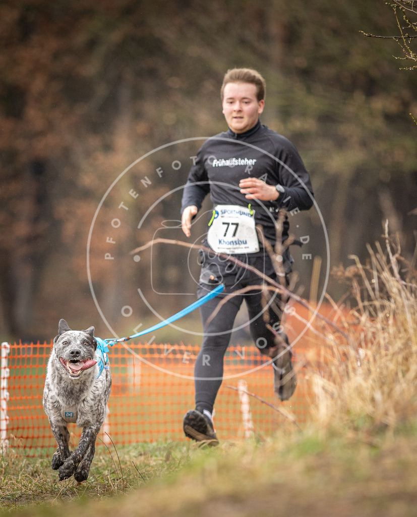 DV3A0269 | Hundefotografie, Tierfotograf, Pfotenfotografie, Fotoshooting Hund, Hunde Portrait, Hundesport, Hundeportraits, Heideshooting, Hunde, Sportfotograf, Hundefotograf, Turnierhundsport, THS,  - Realisiert mit Pictrs.com