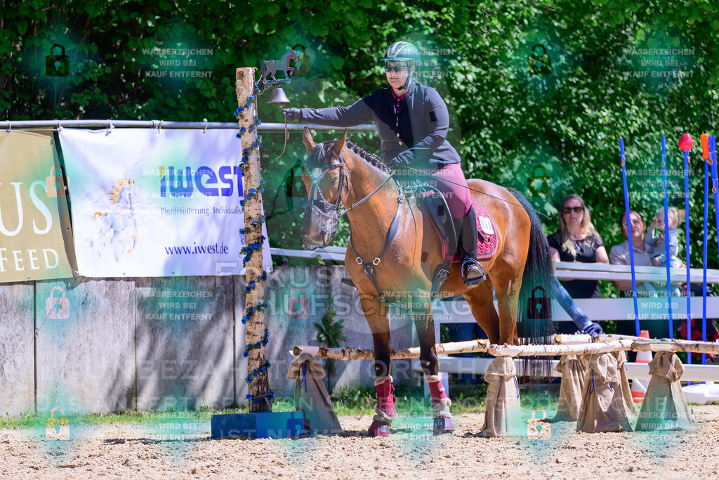 01052026-Giesenbach-02-Stiltrail-0419 | Fokus Hufschlag Fotografie - Realisiert mit Pictrs.com