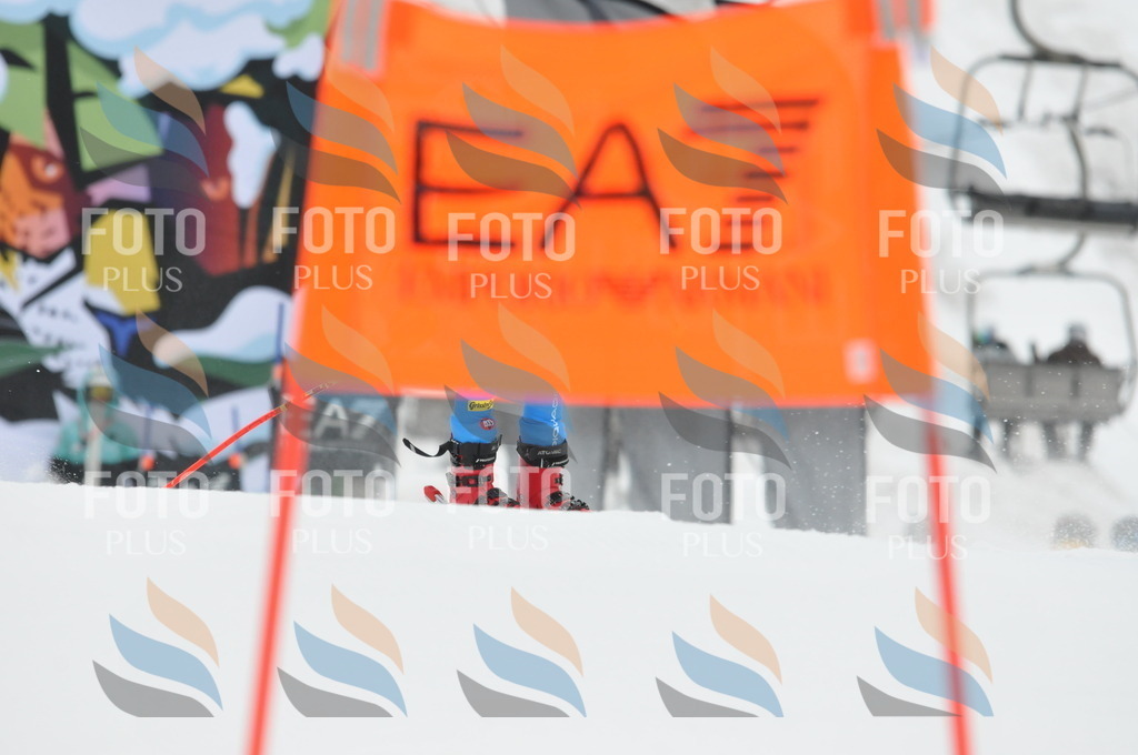 DSC_8753 | holidayphoto