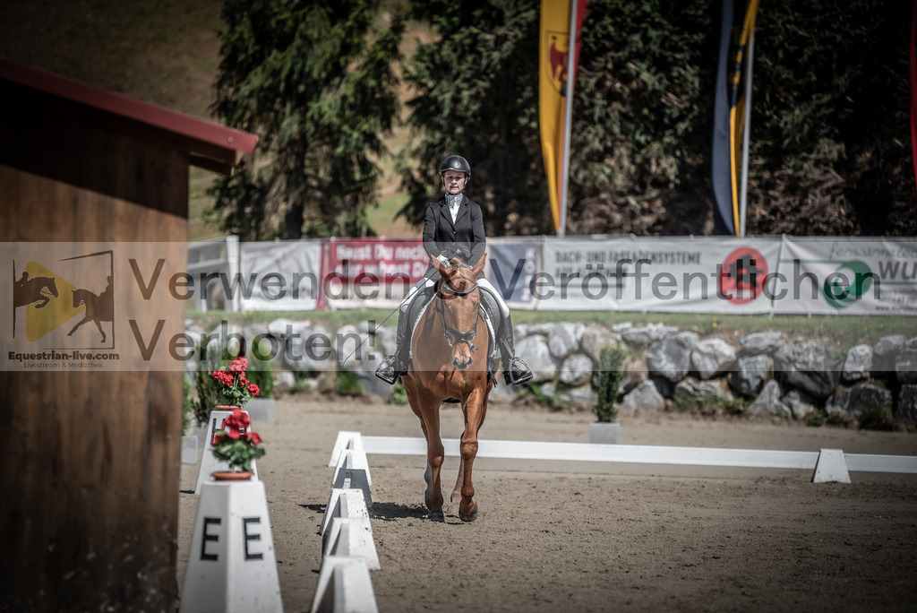DSC_0079 | equestrian-live-com