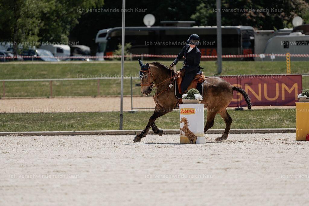 WE_SP_Stoib_329_PI2025_2009 | Pferd International München 2025