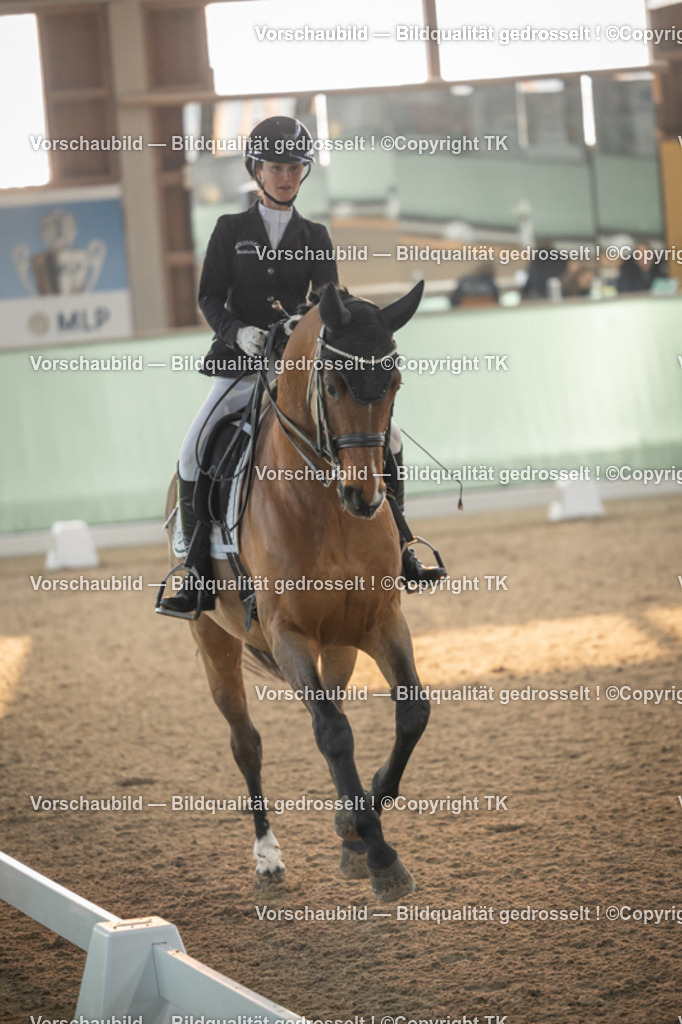 _D5A3875 | Emotionale Pferde- & People-Fotografie rund um Heidelberg, Leimen & Umgebung. Natürliche Fotos von Pferd, Mensch & Familie. Jetzt Termin sichern!