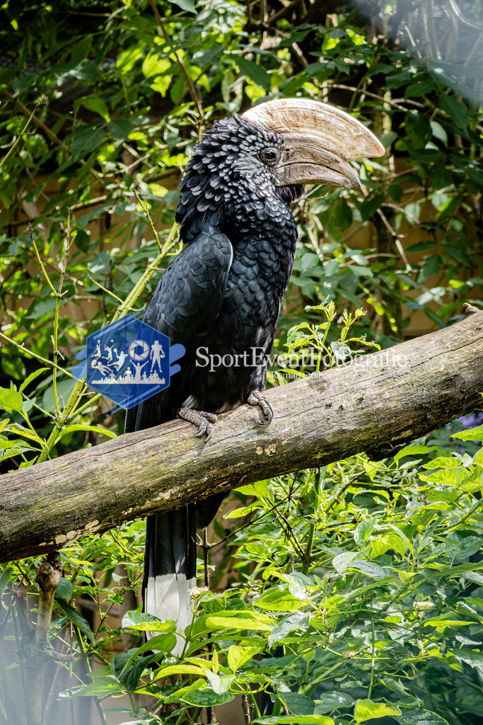 IMG_1143 | SportEventFotografie - Roman Stoiber