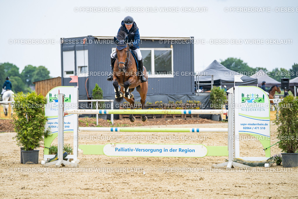 DSC09081 | Pferdegrafie