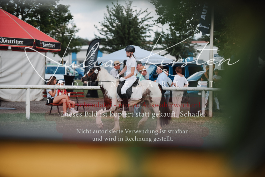 DSC_5614 | Pferde- und Turnierfotografie in Westsachsen. Pferdeportraits, Auftragszeichnungen und intuitive Kunst.