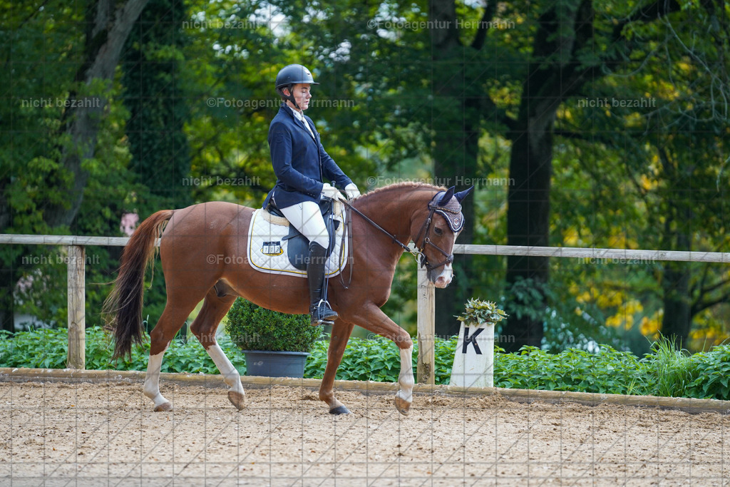 20221008-FAH00730 | Diessen am Ammersee, 2022, Dressur- und Springturnier, Reitsportbilder, Turnierfotografen Bayern, Pferdefotografen, Fotoagentur Herrmann, Turnierbilder