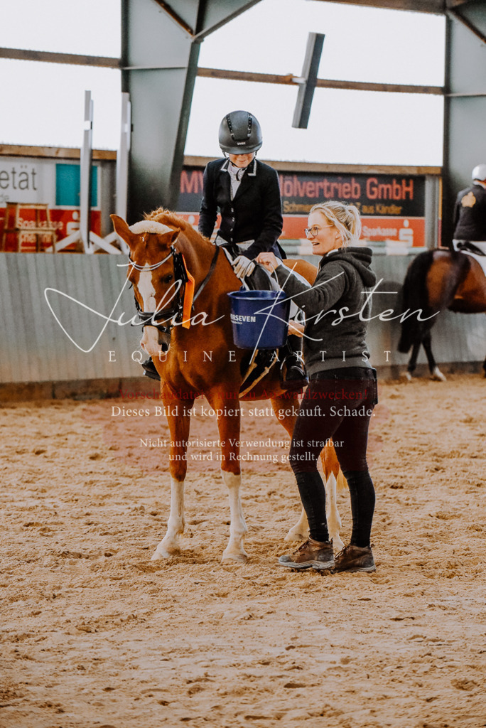 DSC_7726 | Pferde- und Turnierfotografie in Westsachsen. Pferdeportraits, Auftragszeichnungen und intuitive Kunst.