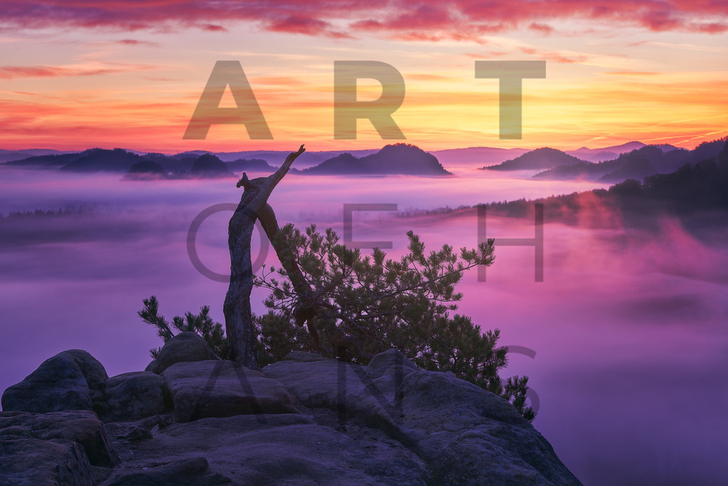 Ein Hans Fineart Original | Entdecke die Kunst von Hans Fineart - Fotografien für dein Zuhause. Verwandle deine Wände mit einzigartigen Kunstwerken und bringe die Schönheit der Welt in dein Leben. Bestelle jetzt und schaffe einen Ort der Inspiration und Eleganz.