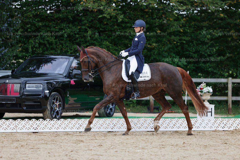 8_1-094-Klasse S_  -StoibPH-3847 | working equitationturnier fotograf videograf stoibphotography marixx film working equitation deutschland reitsport turnierfotografie eventfotografie equestrian events