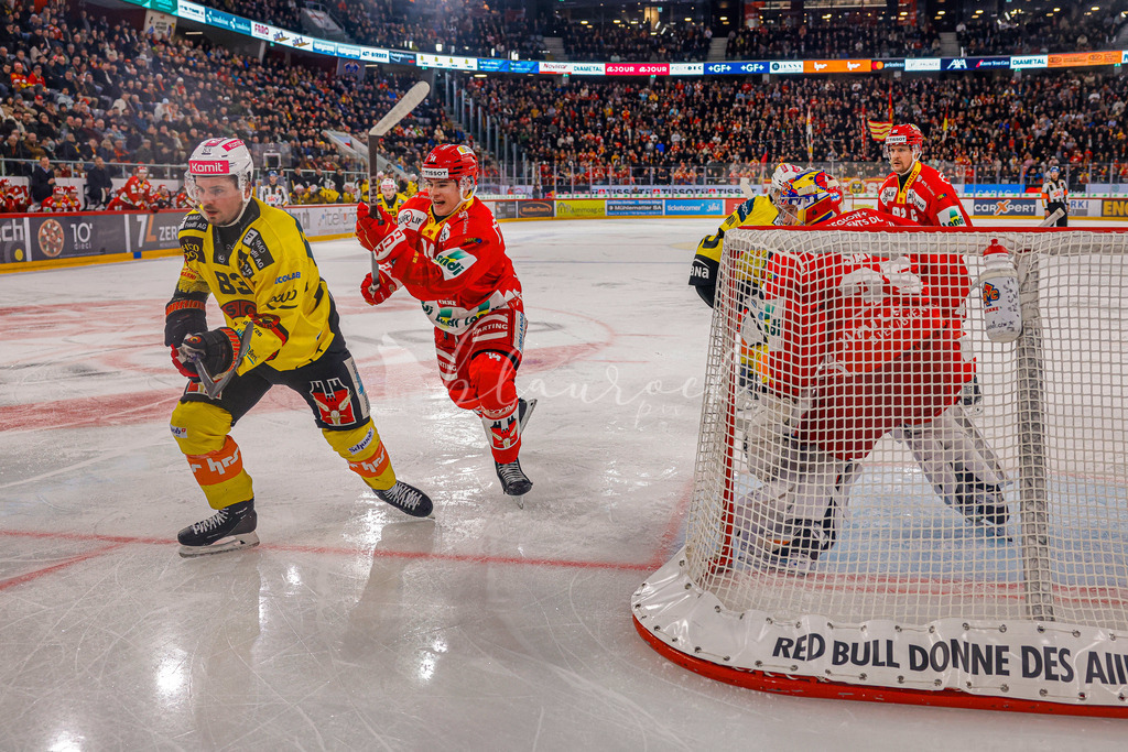 EHCB vs SCB 20260110_wb-3576 | Sportbilder, Sportfotograf, Hochzeits- und Eventfotografin, Flugshows, Portraits und Tiershooting, Aviation, Downhill, Nationalleague, Swissleague, International