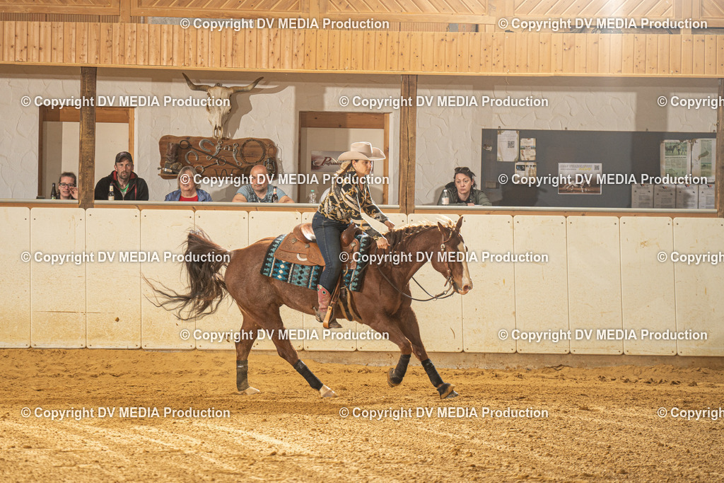 MIT00497 | dv-media-shop - Realisiert mit Pictrs.com