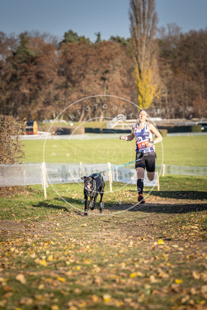 CaniXpix_DV3A1094 | Hundefotografie, Tierfotograf, Pfotenfotografie, Fotoshooting Hund, Hunde Portrait, Hundesport, Hundeportraits, Heideshooting, Hunde, Sportfotograf, Hundefotograf, Turnierhundsport, THS,  - Realisiert mit Pictrs.com