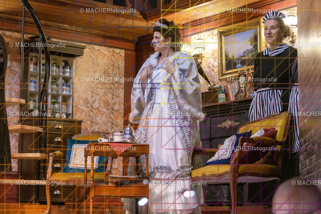 313_MFL-2025 | Portraitbilder von Regisseur; Darsteller; Techniker; Maske; Kostüme; Chor; Musiker; Bilderserie der Generalprobe und der Premierenvorstellung, Szenenbilder; Ausdrucksstudien; Bühnenüberblick; Bühnenkulissen; Pressefotos inkl. Redaktionsfoto Darstellergruppe.