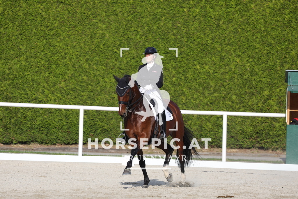 0P6A3885 | Willkommen bei Brunnmayr - Design & Fotografie – Ihrem Spezialisten für Reitturniere und Pferdeveranstaltungen in Oberösterreich, Salzburg und Bayern! Seit über 17 Jahren sind wir leidenschaftlich dabei.