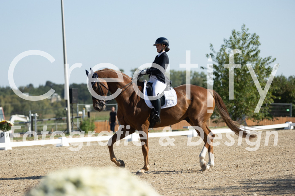 IMG_0491 | Creatify Fotografie