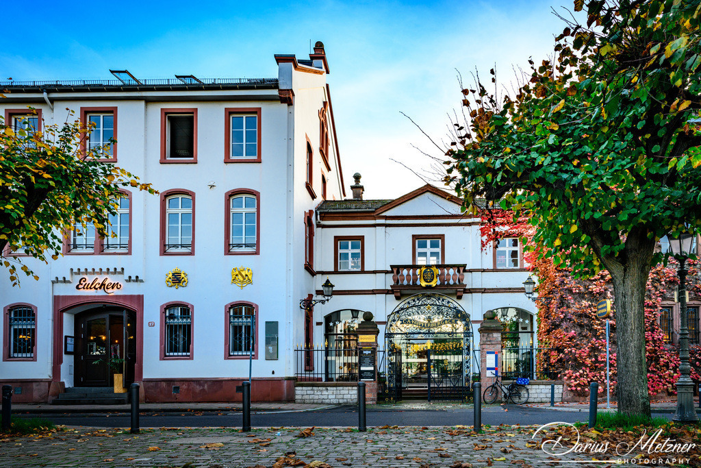 Die Kupferbergterasse in Mainz | Die Kupferbergterasse in Mainz