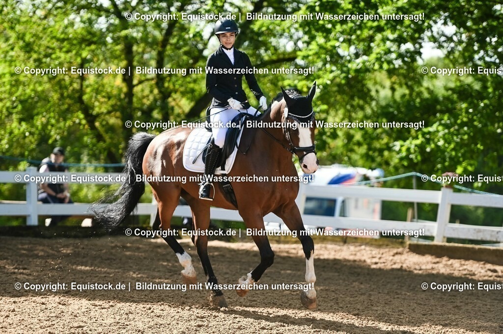 20230716_04_Dressurreiterprüfung Kl.A_0158 | equistock