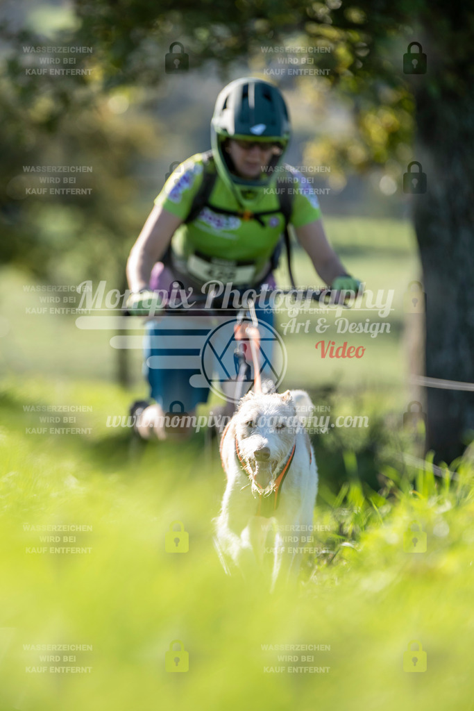 MompixPhotography_20TSB_E3_DS1-69 | PayLife