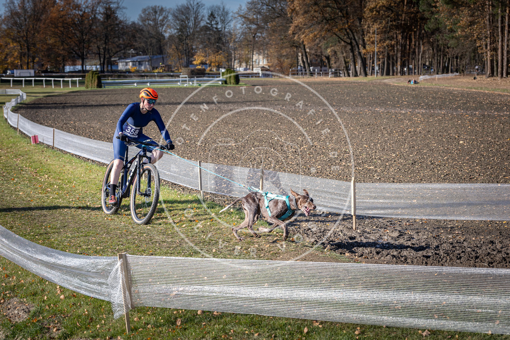 CaniXpix_DV3A7320 | Hundefotografie, Tierfotograf, Pfotenfotografie, Fotoshooting Hund, Hunde Portrait, Hundesport, Hundeportraits, Heideshooting, Hunde, Sportfotograf, Hundefotograf, Turnierhundsport, THS,  - Realisiert mit Pictrs.com