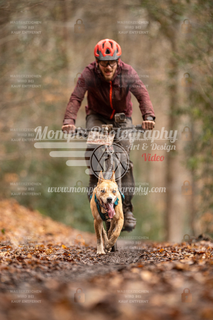 SPA_2023_DIM_Bike-90 | PayLife