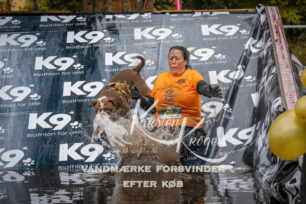 1207_ZZ94365 | kk-dogfotos