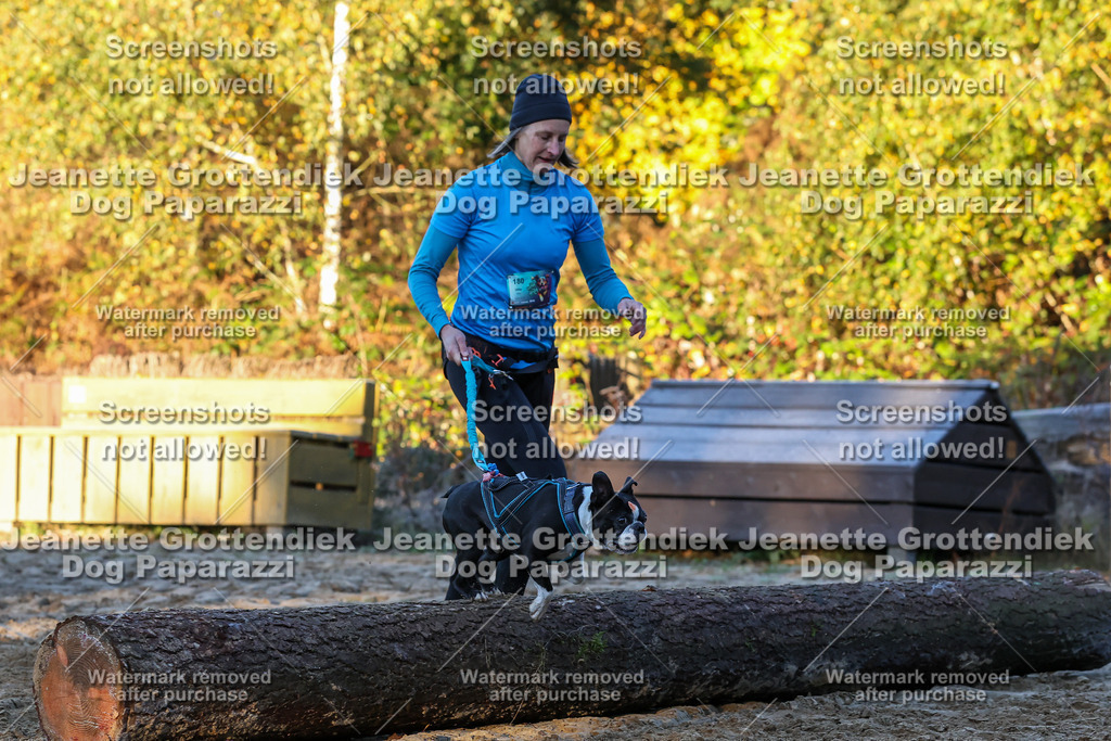 Dog Paparazzi - Strongdog 10-25-640 | Dog Paparazzi Jeanette Grottendiek Fotografie & Videografie - Realisiert mit Pictrs.com