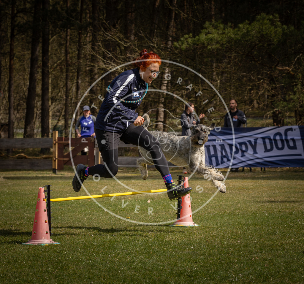 Pfotenfotografie_DV3A3691 | Hundefotografie, Tierfotograf, Pfotenfotografie, Fotoshooting Hund, Hunde Portrait, Hundesport, Hundeportraits, Heideshooting, Hunde, Sportfotograf, Hundefotograf, Turnierhundsport, THS,  - Realisiert mit Pictrs.com
