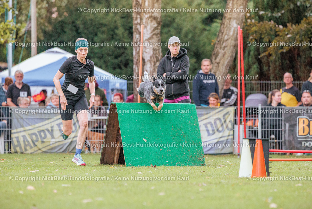 THS-HSV-Blumenthal-2026-Nickbest-Hundefotografie-0351 | Dein Hund! Dein Moment! Deine Erinnerungen! Hundefotografie in Bremen Blumenthal. Ich fange die besonderen Momente deines Vierbeiners ein – ob Indoor mit Blitzanlage oder in der freien Natur. Sicher dir dein Moment und dein Termin für eure Erinnerungen.