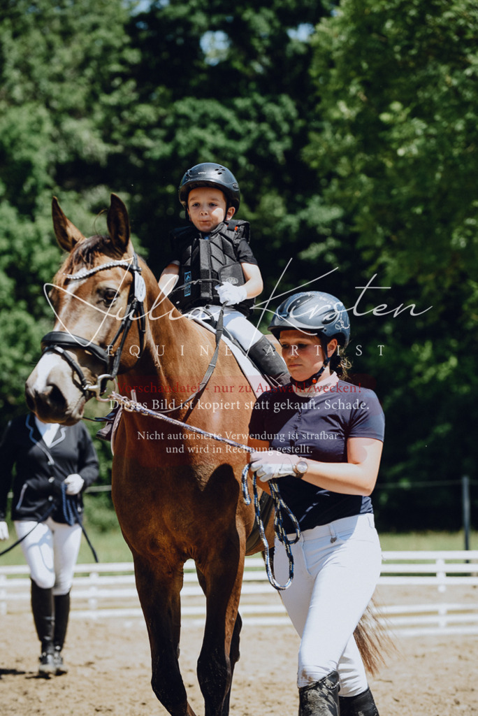 DSC_2570 | Pferde- und Turnierfotografie in Westsachsen. Pferdeportraits, Auftragszeichnungen und intuitive Kunst.