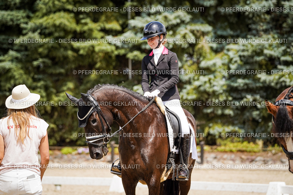 DSC01762 | Pferdegrafie