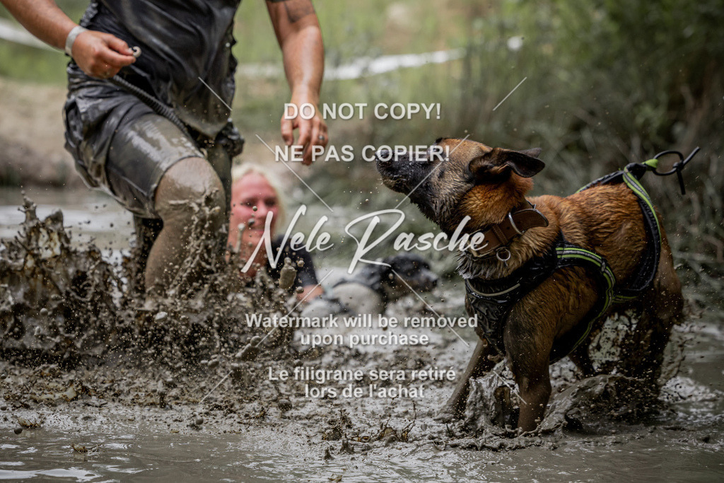 nelerasche_so0930-1000_304 | nelerasche