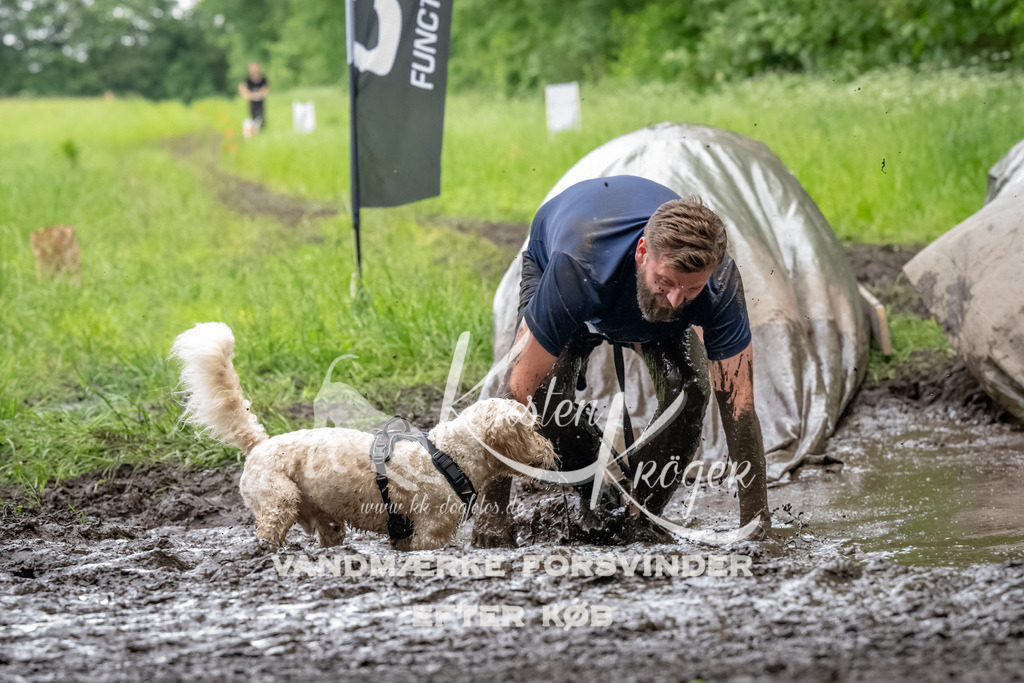 1546_ZZ90350-Bearbeitet | kk-dogfotos