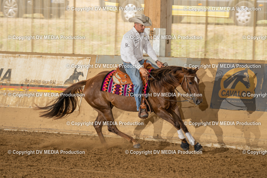 LAU01614 | dv-media-shop - Realisiert mit Pictrs.com