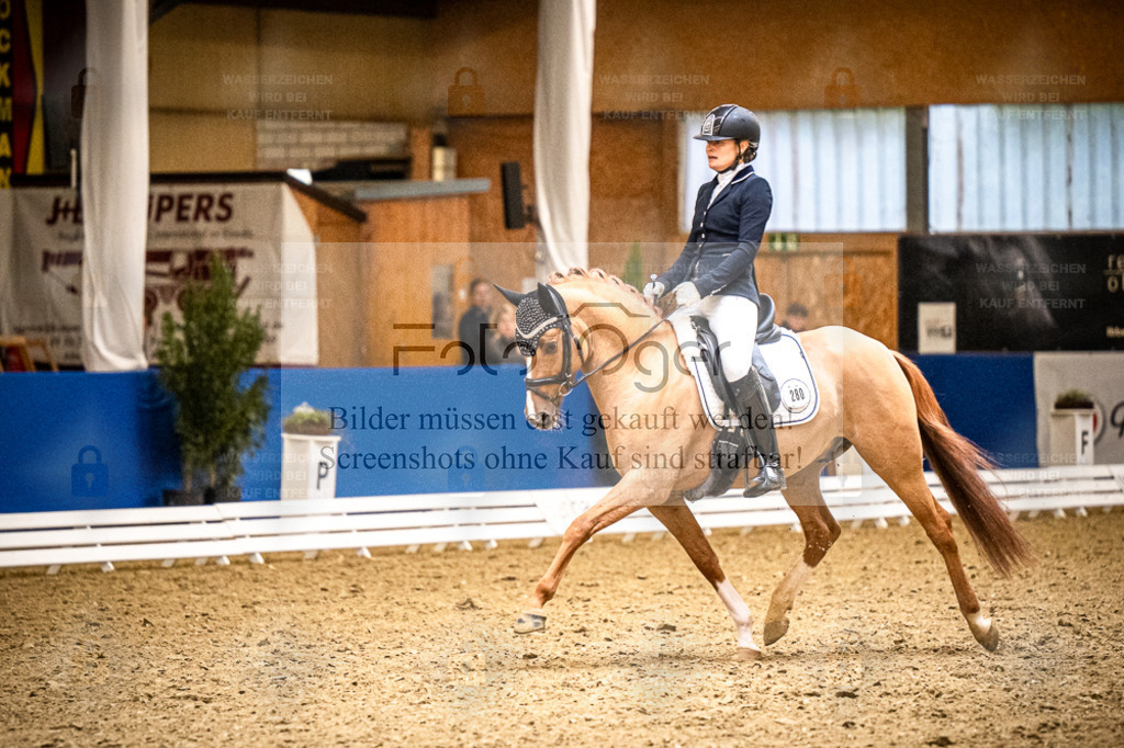 DOS_2167 | Entdecke hochwertige Reitturnierfotos von Foto Oger. Professionell, emotional und authentisch – jetzt Lieblingsmomente im Shop bestellen. - Realisiert mit Pictrs.com