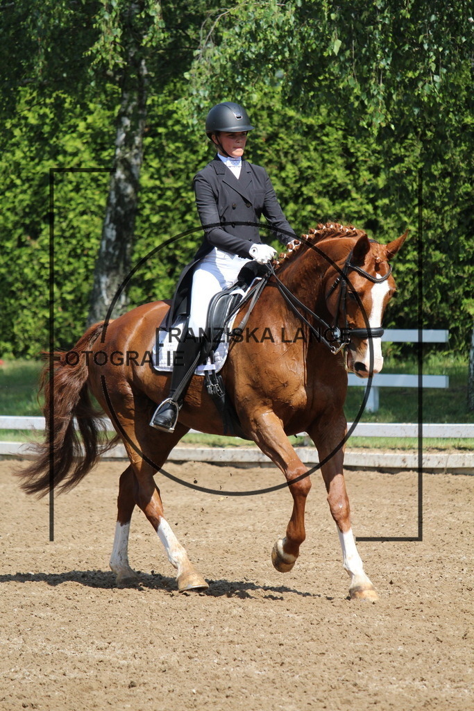 IMG_7117 | franziskalange - Realisiert mit Pictrs.com