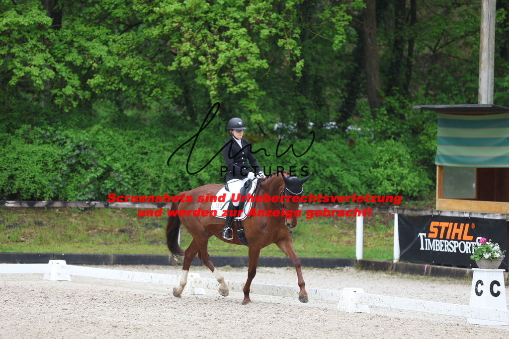 A40A8654 | lmwpictures - Realisiert mit Pictrs.com